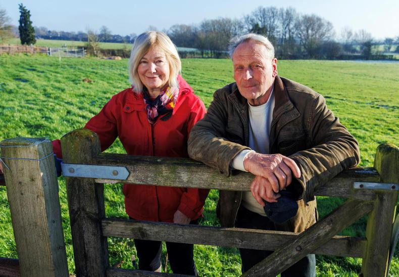 Farmer Writes: we buffer-fed cows for two months