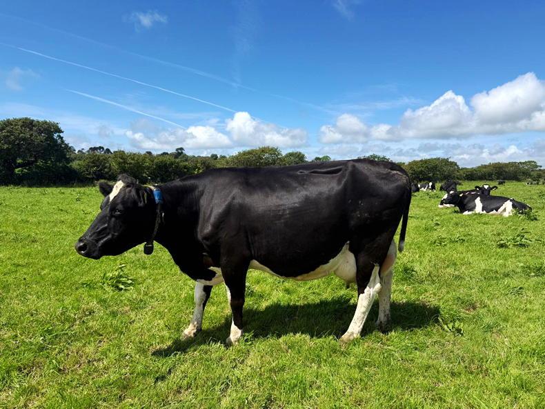 Meet the inaugural winner of the Pasture Progress Award