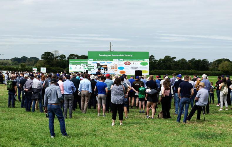 BEEF2026: a must-attend event for beef farmers