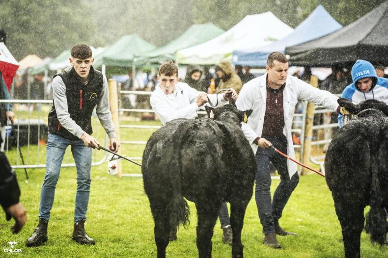 Young blood needed to keep summer ag shows on the go
