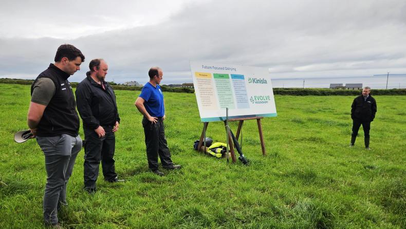 Searching out skills leads to success for Kerry brothers