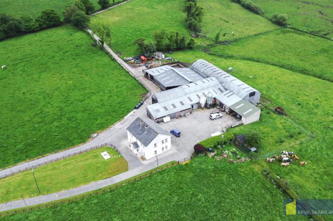 Productive northern farm is a dairy entrant’s dream for €1.15m