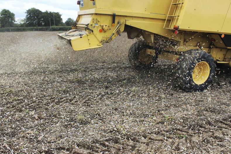 Over 73,000ha entered into straw scheme for 2026
