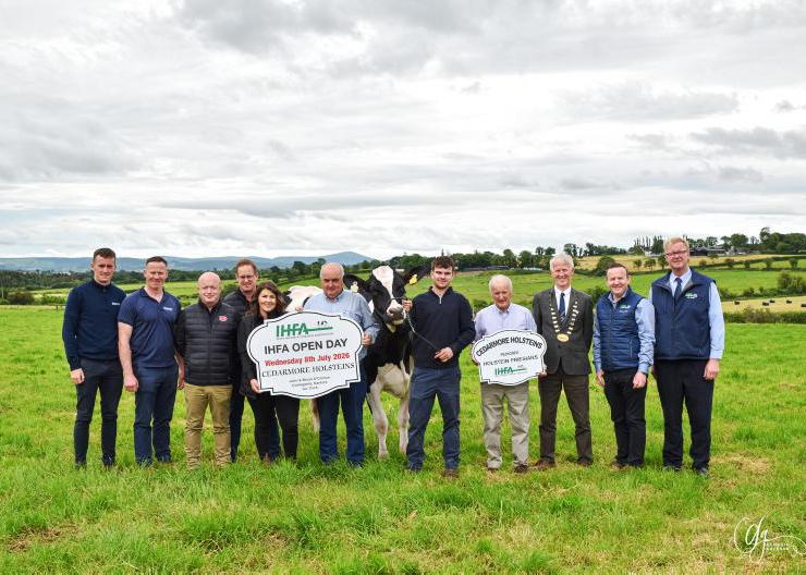IHFA National Open Day comes to Cork