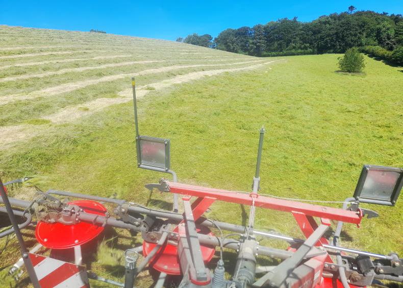 A mixed bag of baled silage in 2026