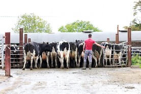 Farmer views: ‘CAP budget is a big issue'