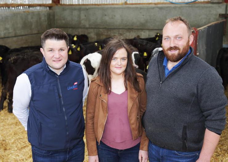 Antrim farm rearing 2,500 calves per year