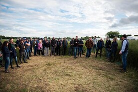 Crop area down 2% in 2026, cereals fall significantly