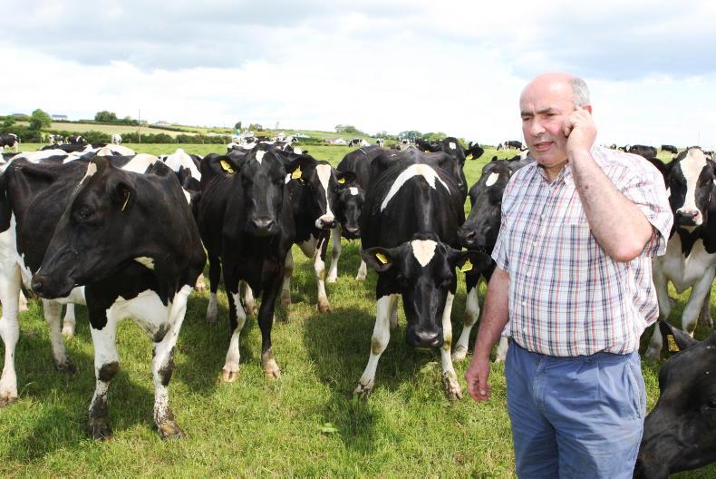 Monamore Holsteins: final chapter dispersal sale