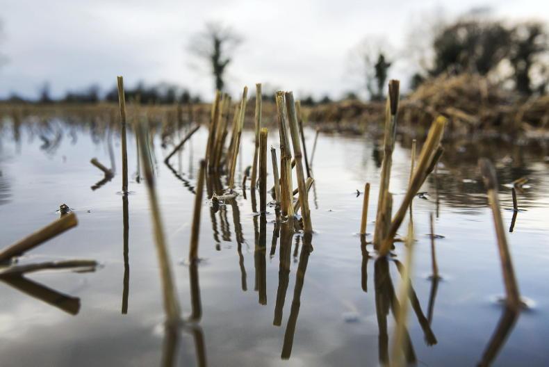 EU allocates over €56m for farmers affected by adverse climatic events