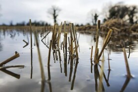 EU allocates over €56m for farmers affected by adverse climatic events