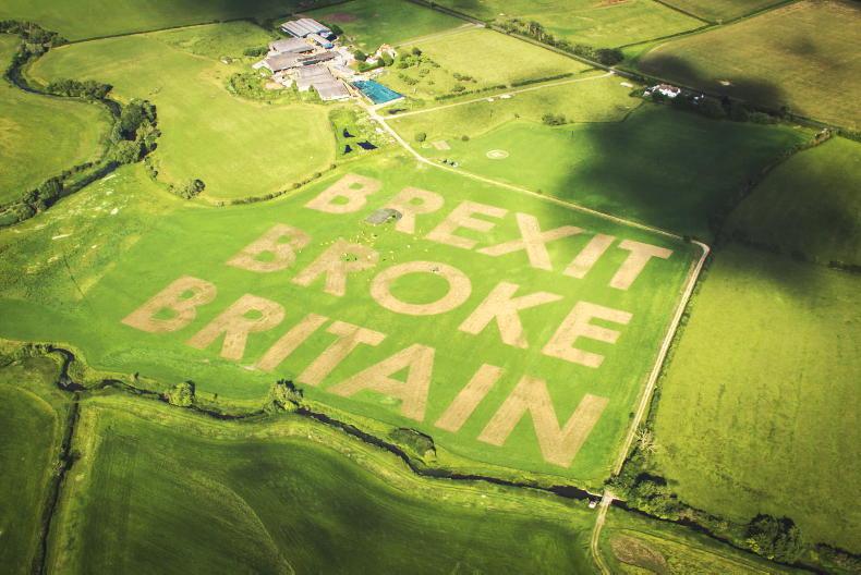 ‘Brexit broke Britain’ sign etched into English farmer's field 