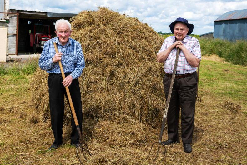 In pictures: building a traditional cock of hay 