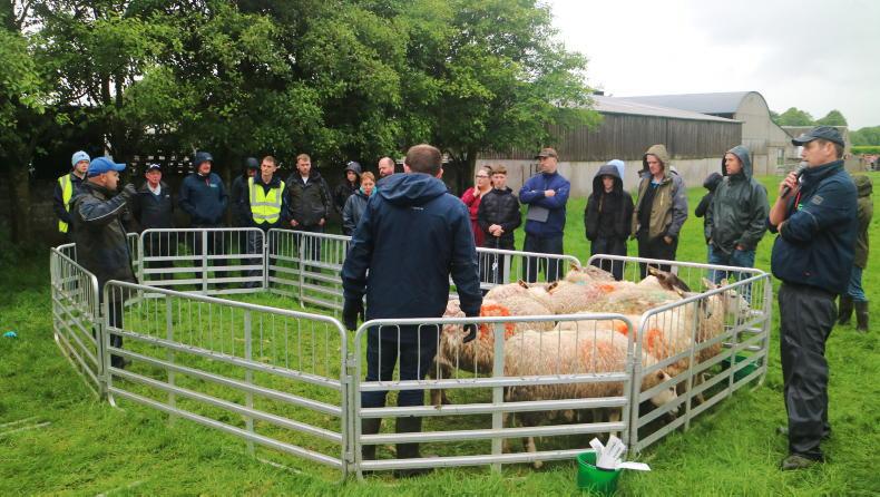 CODD control all about limiting establishment opportunities
