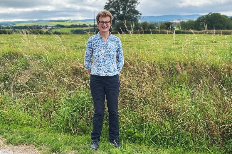 Irish farmer shortlisted for EU organic award