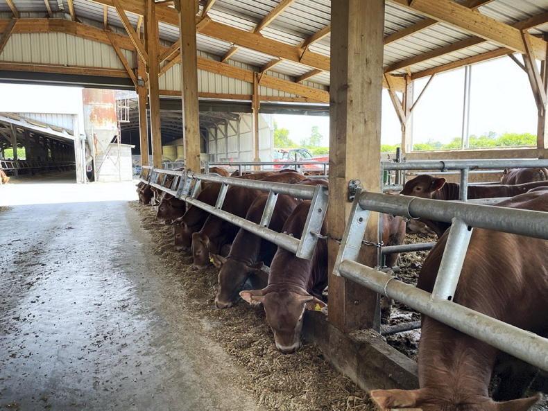 Man in France banned from farming due to CAP fraud