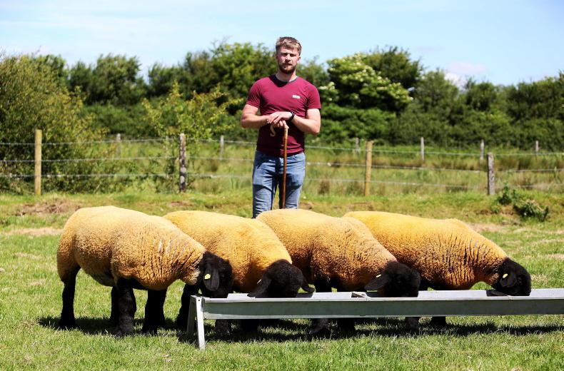 My Farming Week: Thomas Kenny, Trust, Kilconnell, Co Galway