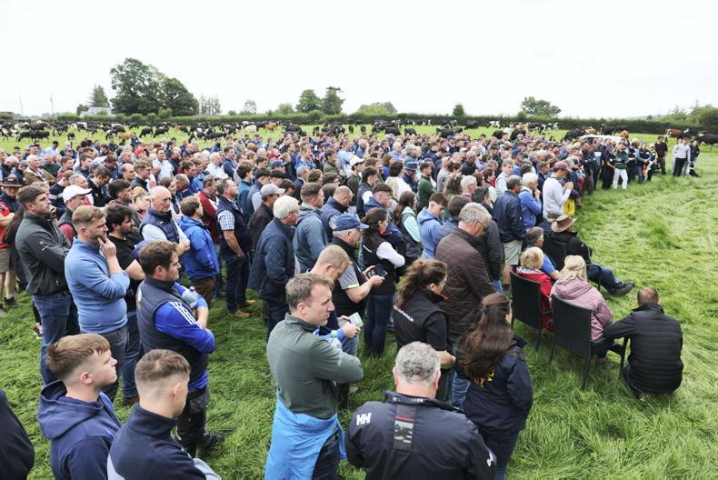 Listen to the hosts of this year's Irish Grassland Association dairy summer tour