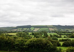 Climate transition lump sums on the cards for next CAP
