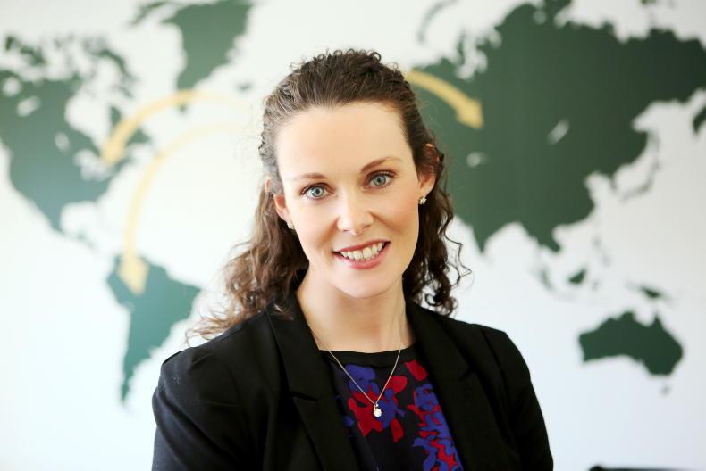 Coming to America: the Irish experience