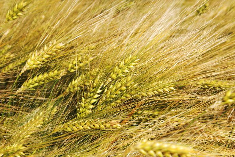 Editorial: record tillage area submitted for straw chopping as tillage area fall
