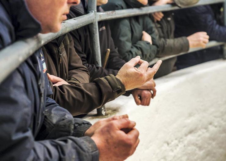 Concern over cattle supply in western marts – ICOS