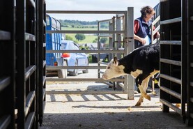 No planned mart closures due to high temperatures