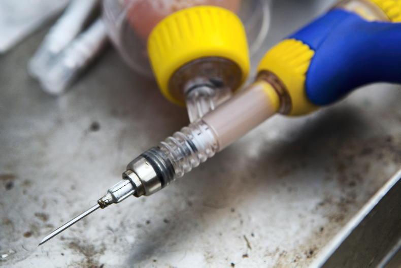 Vaccine stumbling block remains for live exports to Britain