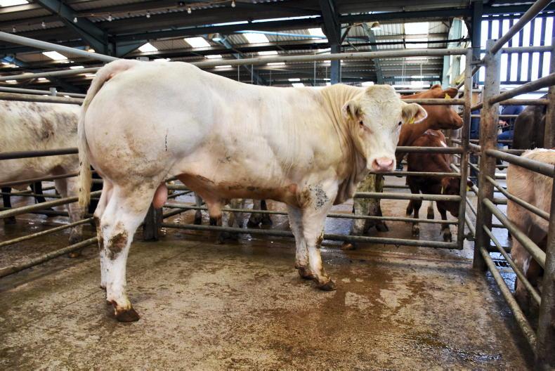 Northern View: tighter numbers help underpin trade