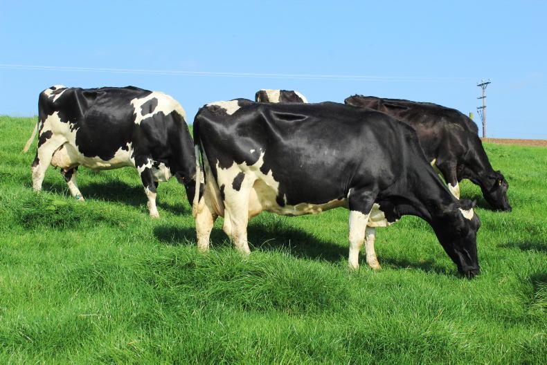 Tirlán sets out a summer price