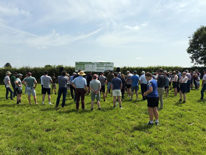 Watch: NDC/Kerrygold Quality Milk Awards farm walk in Co Tipperary