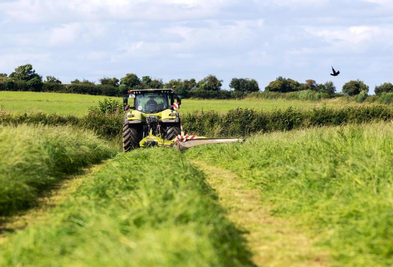 Committee urges caution on grass-fed AD plants 