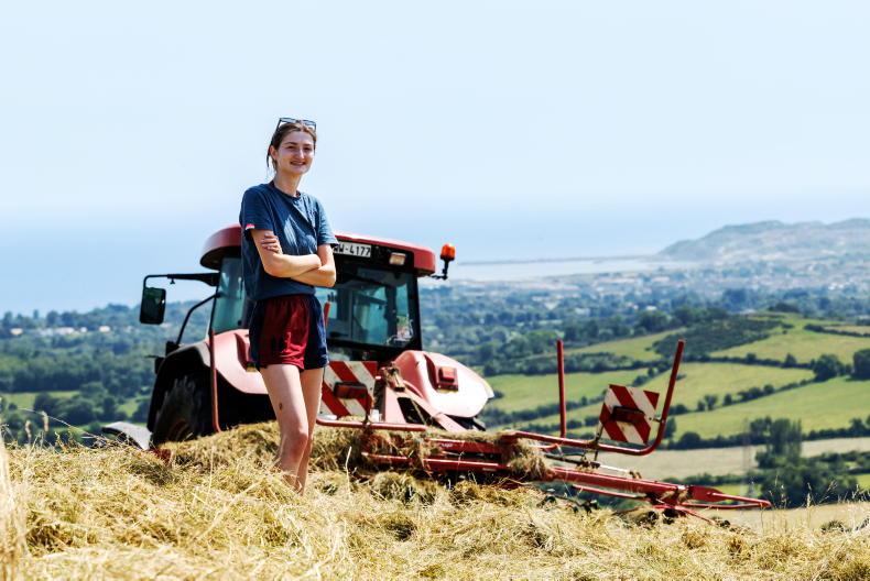 In Pictures: another busy week in rural Ireland as heat continues