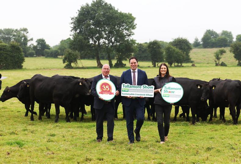 International Year of the Woman Farmer to be celebrated at Tullamore Show