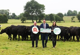 International Year of the Woman Farmer to be celebrated at Tullamore Show