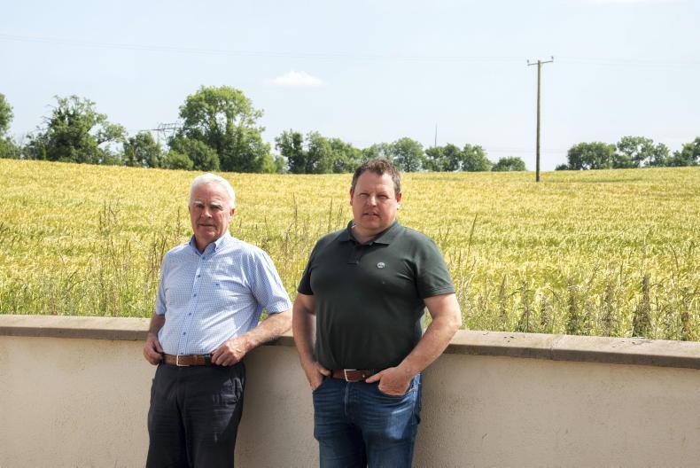 Farmers fight to save tillage land from data centre development