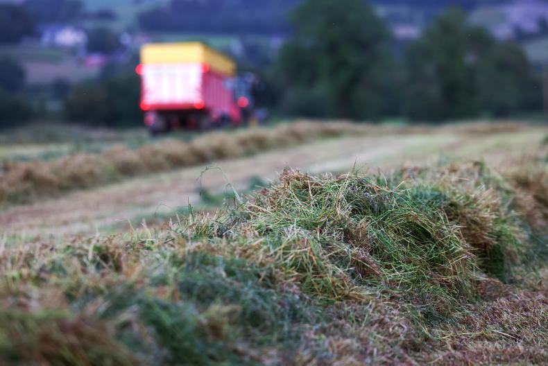 Home farm: new leys versus old pasture