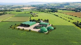 Government must deliver on biomethane sector - IFA