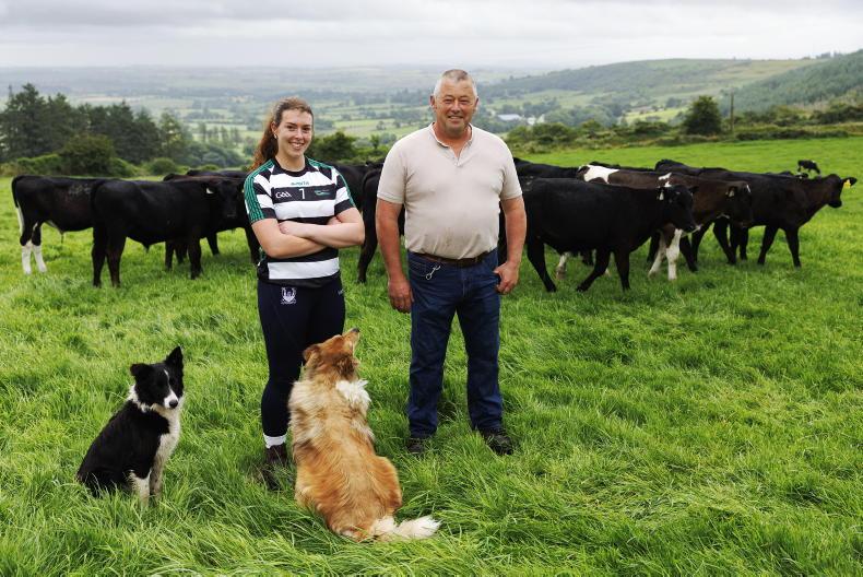 My Farming Week: Aoife and Joe Barrett, Oughtiherra, Rylane, Co Cork