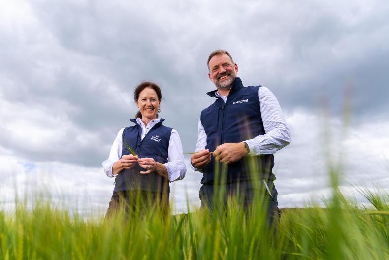 Sustainability loans extended to include Boortmalt regenerative farmers