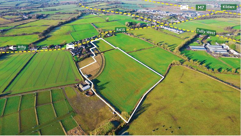 Co Kildare land sells for over €42,000/ac