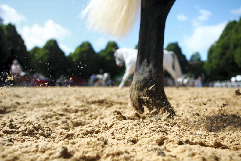 Three parties interested in opening horse slaughter plants