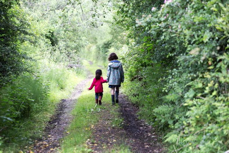 Draft guidelines for rural and Gaeltacht housing welcomed