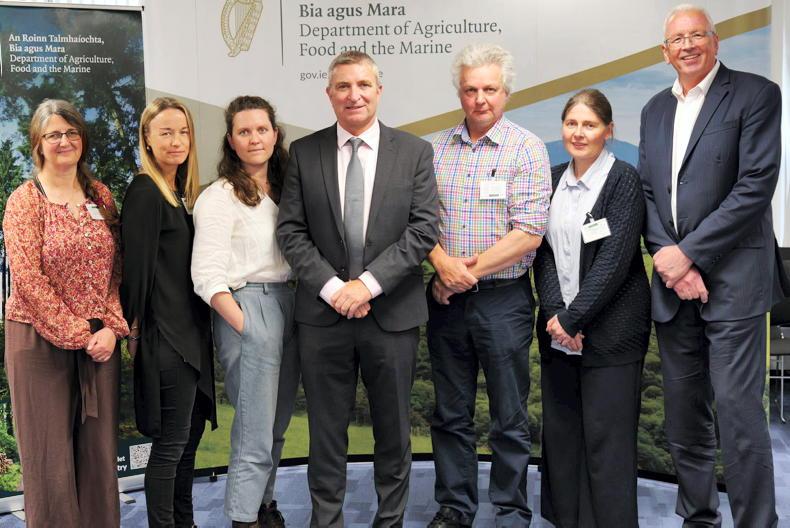 €145,000 allocated for projects to promote forestry