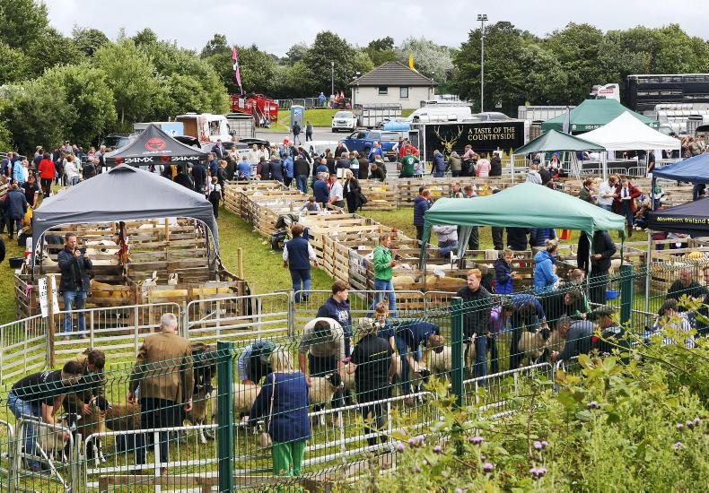 Northern Ireland diary of events