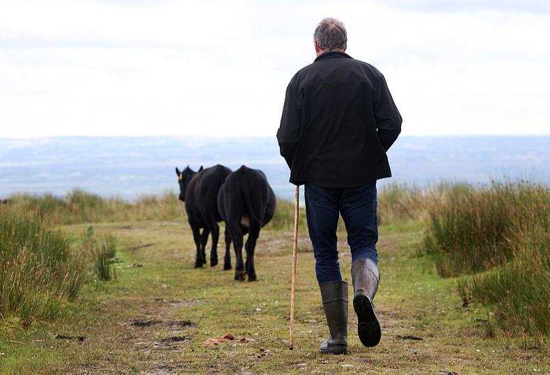 INHFA calls for tax-free farm succession scheme under CAP 2028