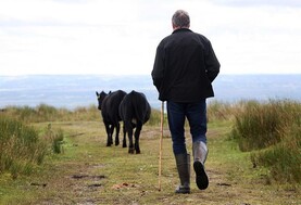 INHFA calls for tax-free farm succession scheme under CAP 2028
