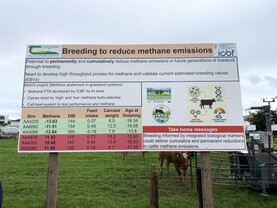 BEEF 2026: breeding to reduce methane emissions from beef cattle