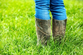 Is Ireland heading for a drought?
