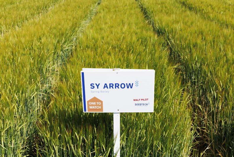 More new spring barley varieties on the way